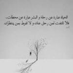 في رحلة الحياة
